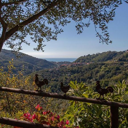 Pietrantica - Affittacamere Con Giardino Nuova Apertura A Trebiano -Citr Bagian luar foto