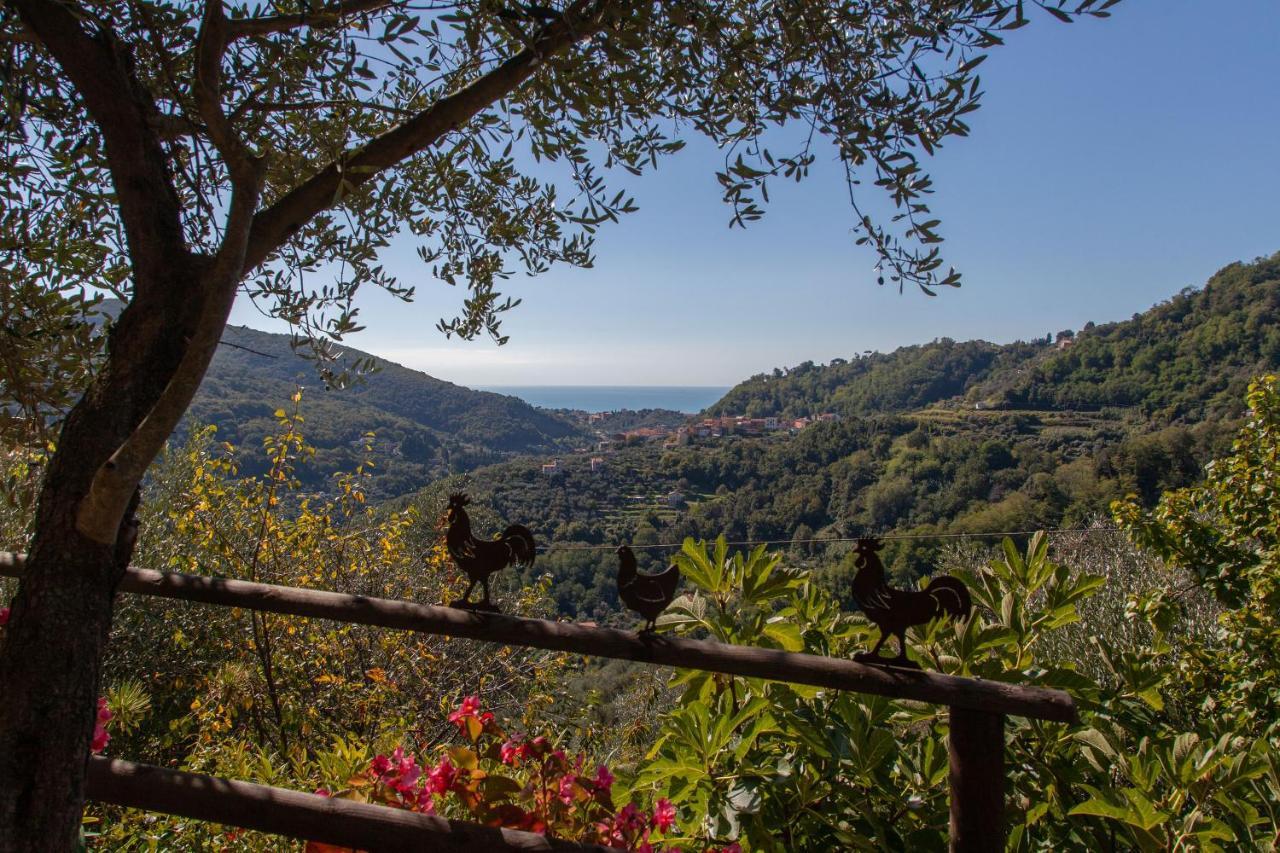 Pietrantica - Affittacamere Con Giardino Nuova Apertura A Trebiano -Citr Bagian luar foto