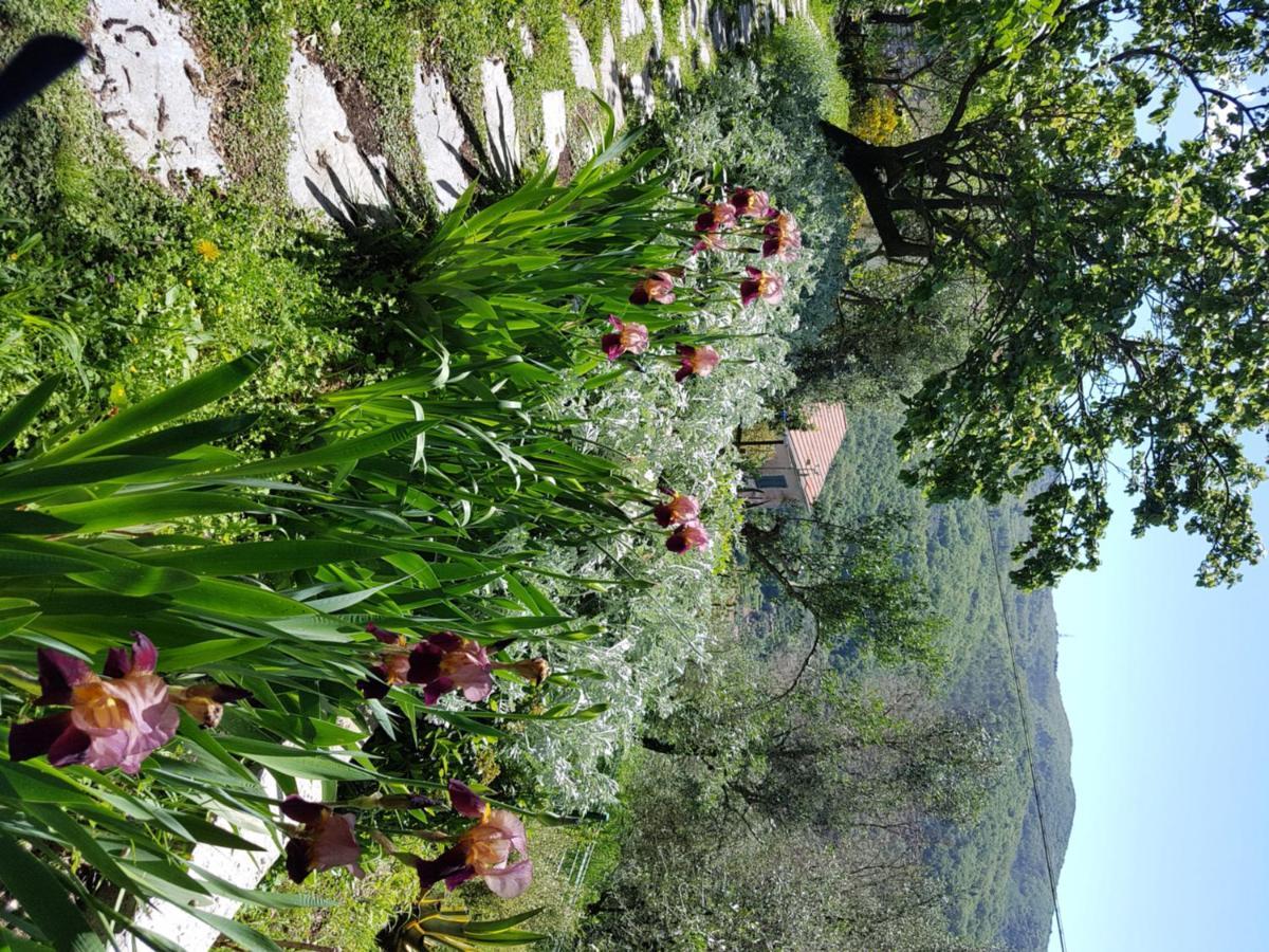 Pietrantica - Affittacamere Con Giardino Nuova Apertura A Trebiano -Citr Bagian luar foto