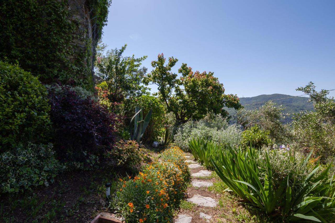 Pietrantica - Affittacamere Con Giardino Nuova Apertura A Trebiano -Citr Bagian luar foto