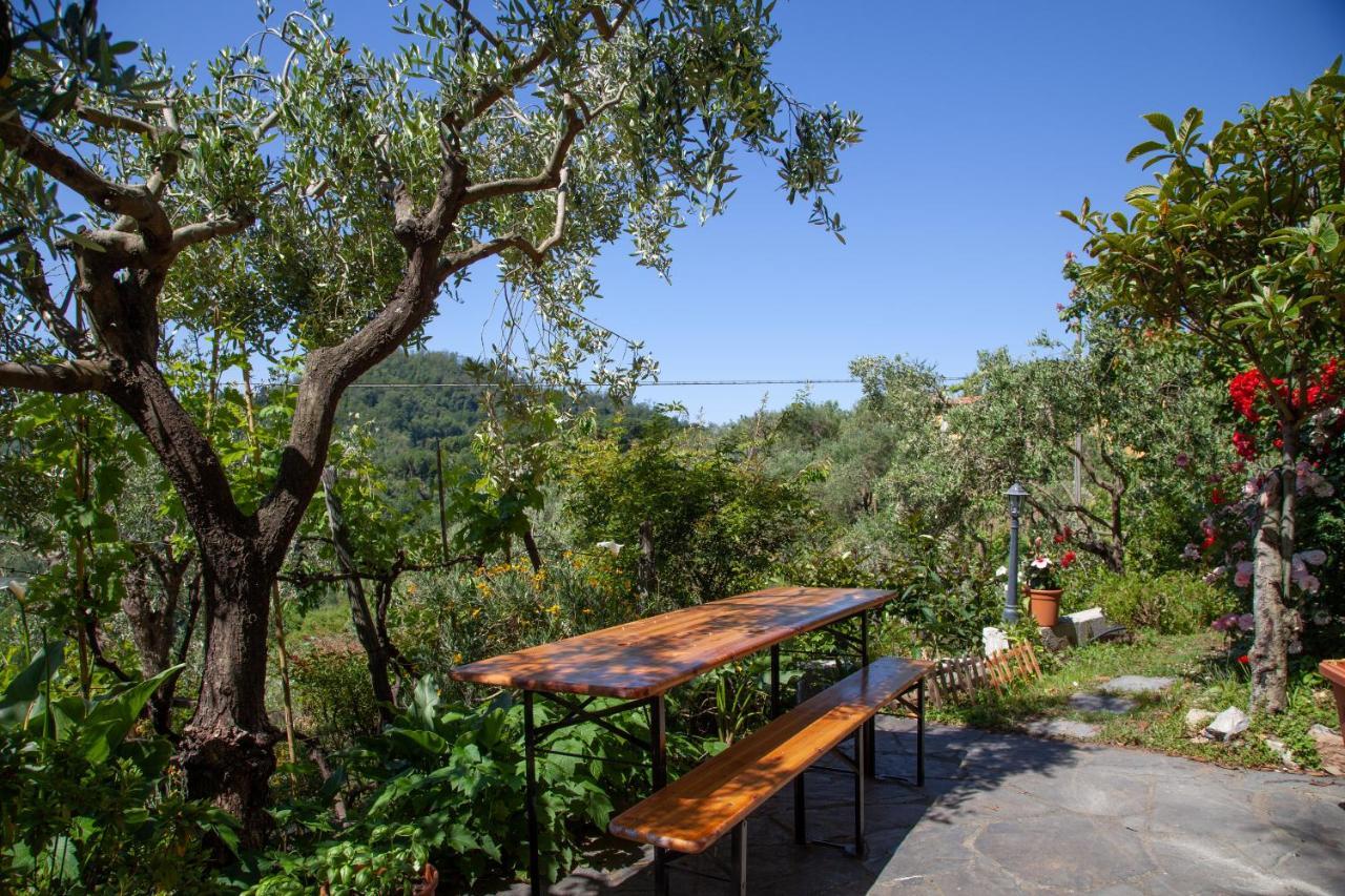 Pietrantica - Affittacamere Con Giardino Nuova Apertura A Trebiano -Citr Bagian luar foto