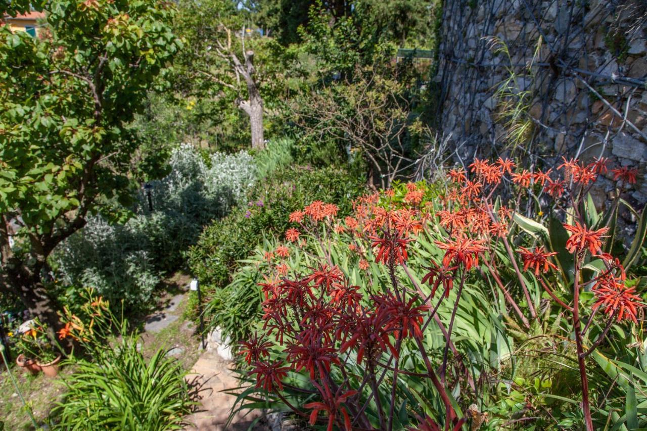 Pietrantica - Affittacamere Con Giardino Nuova Apertura A Trebiano -Citr Bagian luar foto