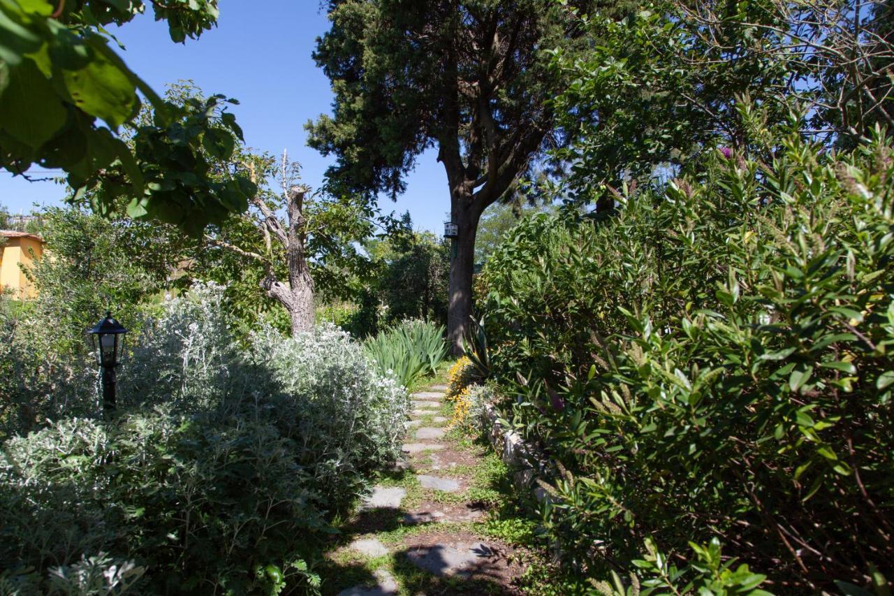 Pietrantica - Affittacamere Con Giardino Nuova Apertura A Trebiano -Citr Bagian luar foto